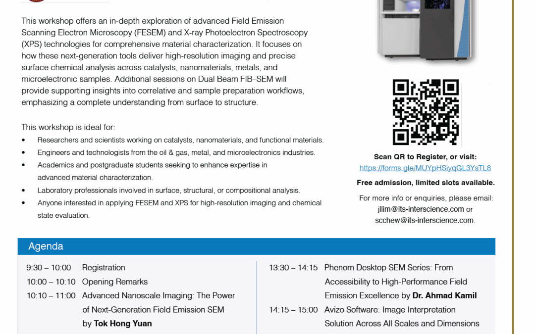 Advanced Analytical Technologies for Multidisciplinary Material Characterization: Next-Generation SEM, FIB and XPS Approaches